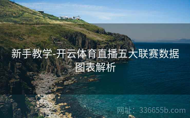新手教学-开云体育直播五大联赛数据图表解析