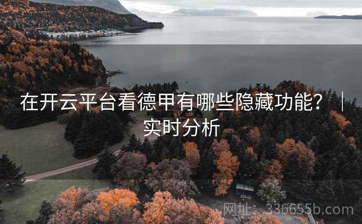 在开云平台看德甲有哪些隐藏功能？｜实时分析  第2张