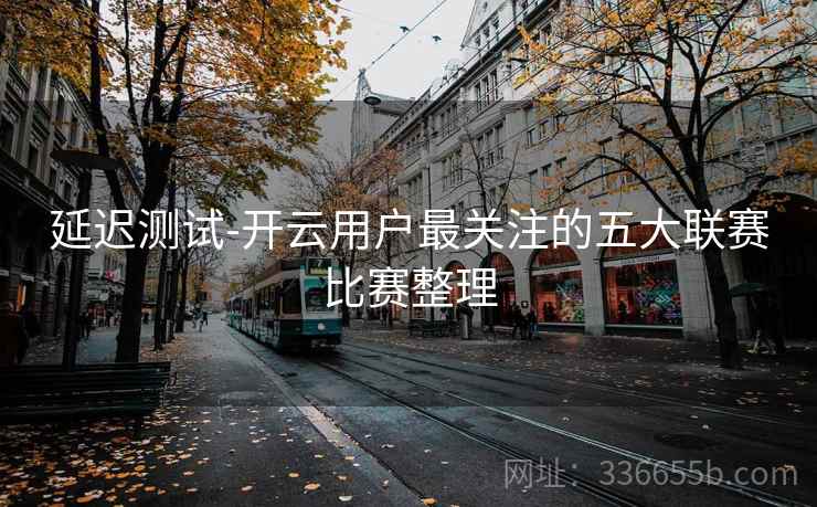 延迟测试-开云用户最关注的五大联赛比赛整理  第2张