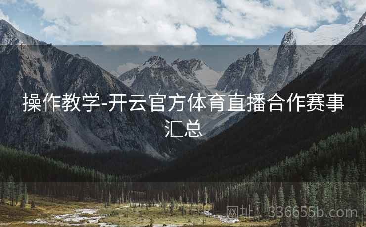 操作教学-开云官方体育直播合作赛事汇总  第2张