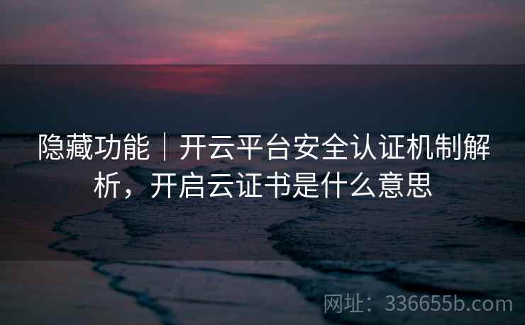 隐藏功能｜开云平台安全认证机制解析，开启云证书是什么意思
