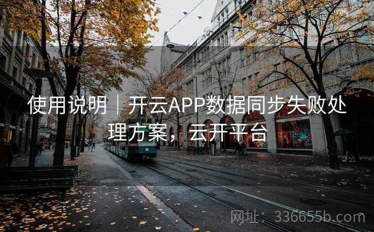 使用说明｜开云APP数据同步失败处理方案，云开平台
